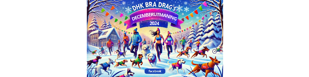 Banner för Decemberutmaningen