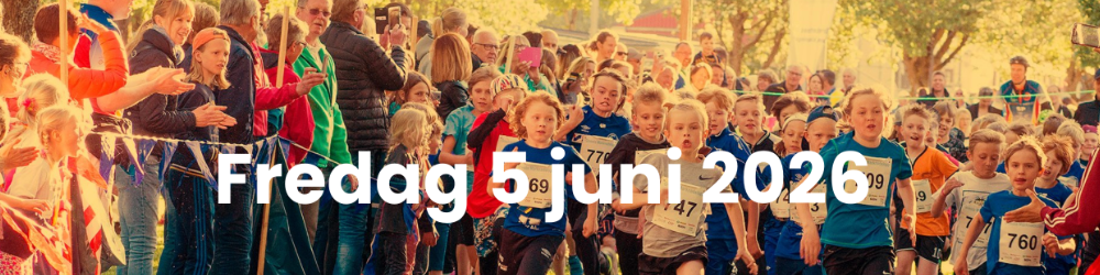 Banner för Marknadsloppet Gnesta