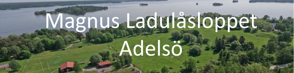 Banner för Magnus Ladulåsloppet