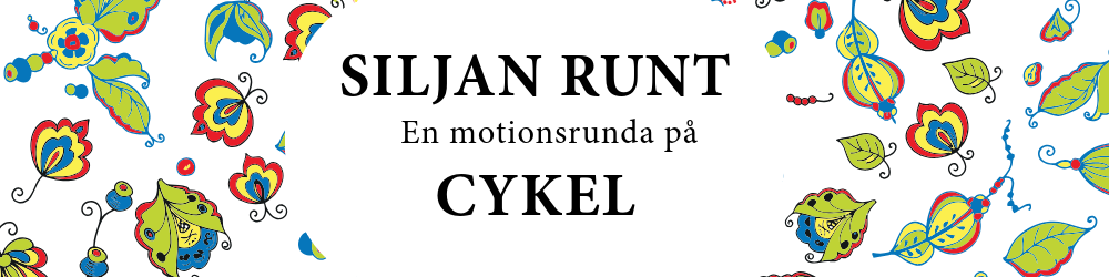 Banner för Siljan Runt