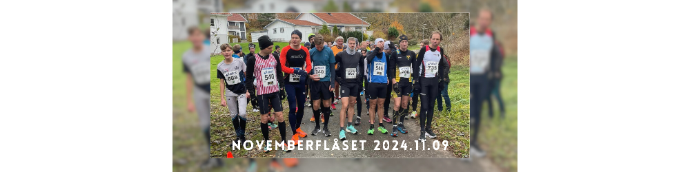 Banner för Novemberflåset