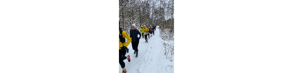 Banner för Februarimaran