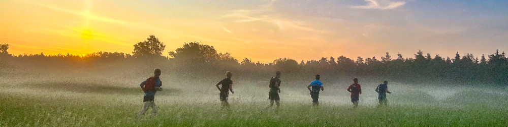 Banner för Night Trail Run Sommar 2026