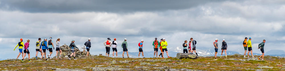 Banner för Fjällöparveckan i Tänndalen
