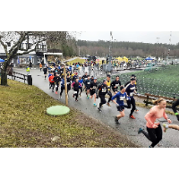 Arrangörens logotyp